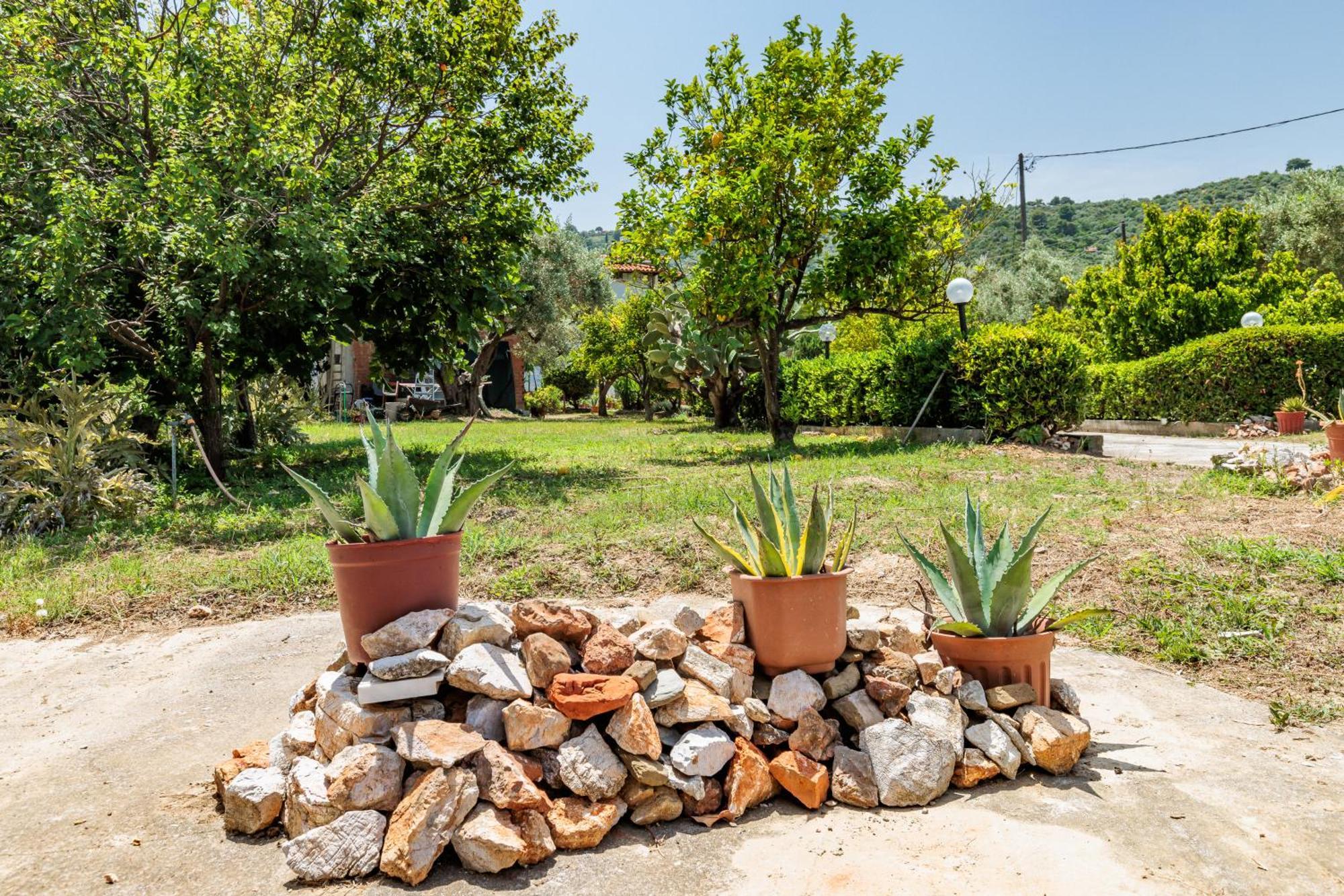 Panagou Studios Skopelos Extérieur photo