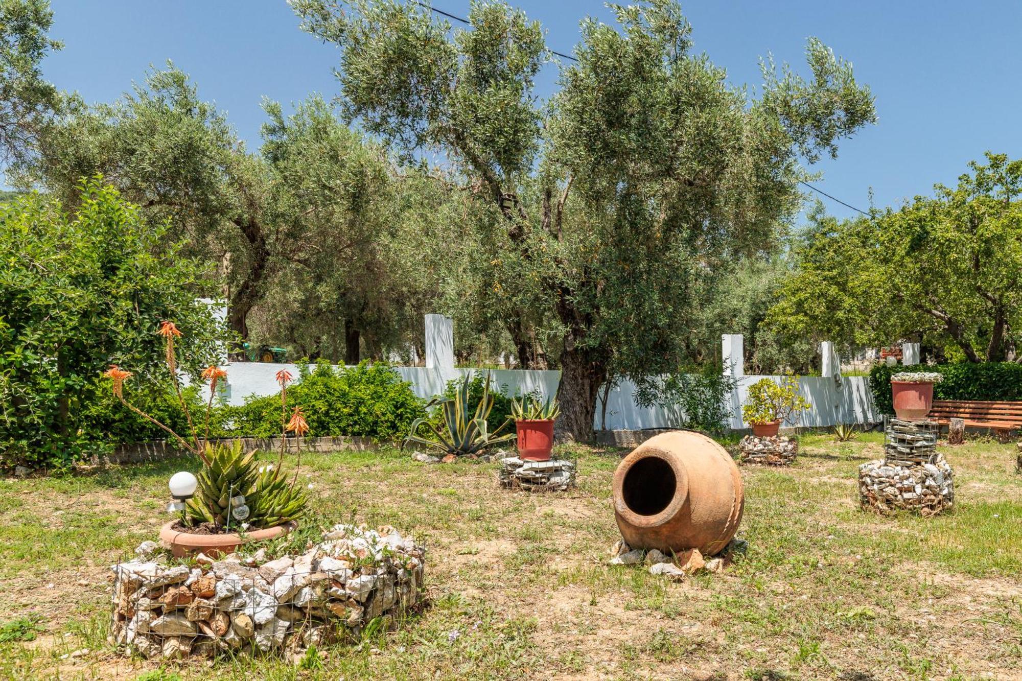 Panagou Studios Skopelos Extérieur photo
