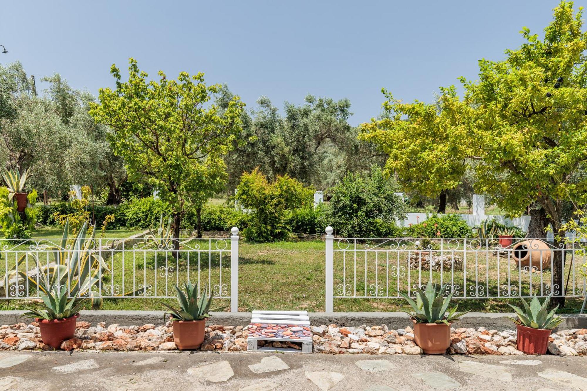 Panagou Studios Skopelos Extérieur photo